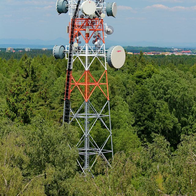 Cell phone plans