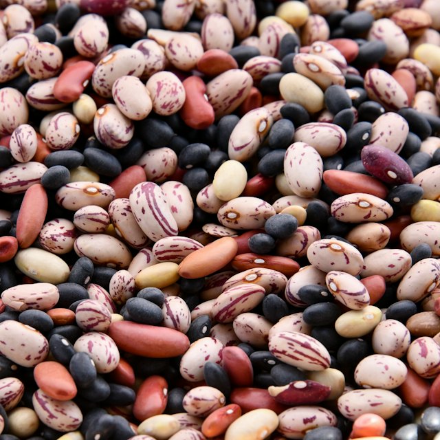 Dried beans