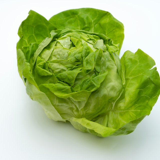 Iceberg lettuce
