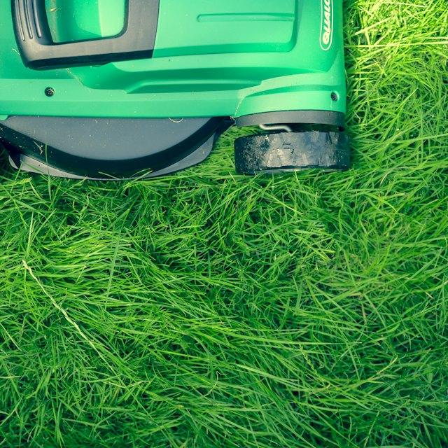 Lawn care services