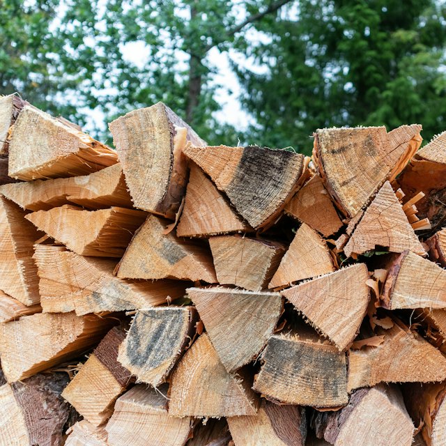 Propane & firewood